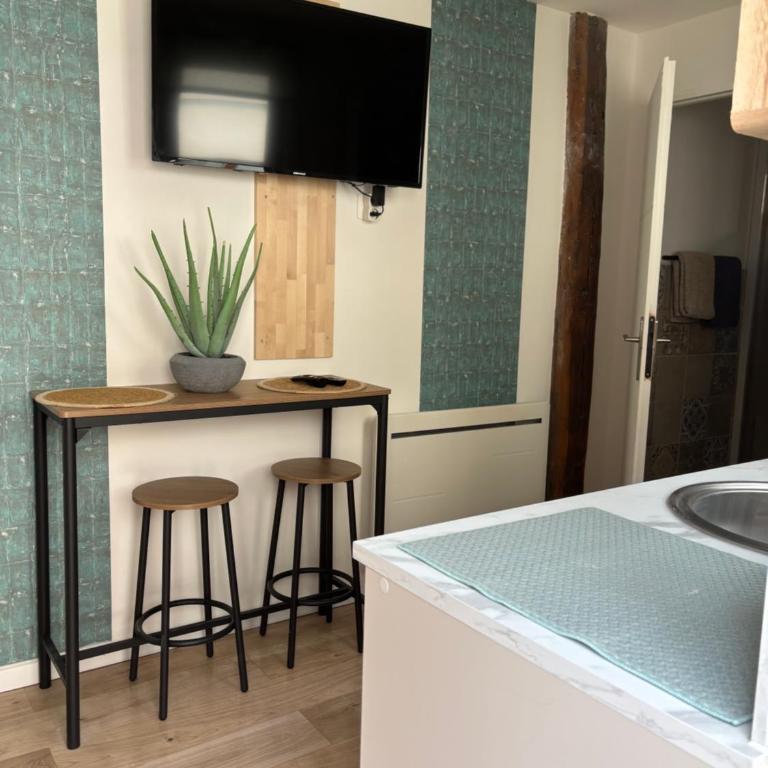 L'oasis verte - Calme au coeur de Dijon - Appartement 1 Chambre - 3