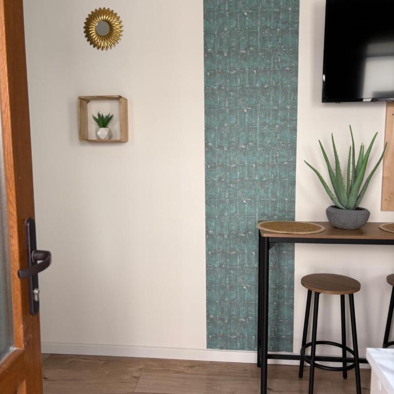 L'oasis verte - Calme au coeur de Dijon - Appartement 1 Chambre - 5