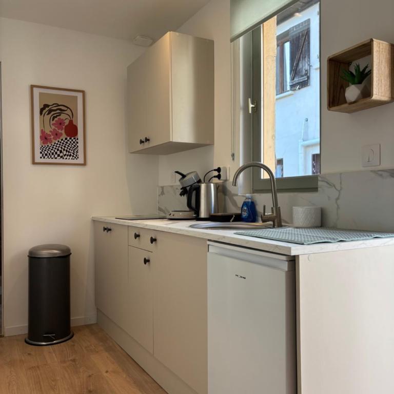L'oasis verte - Calme au coeur de Dijon - Appartement 1 Chambre - 21
