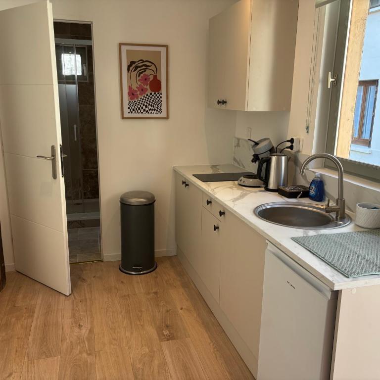 L'oasis verte - Calme au coeur de Dijon - Appartement 1 Chambre - 18