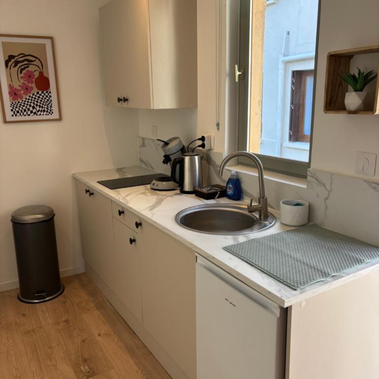 L'oasis verte - Calme au coeur de Dijon - Appartement 1 Chambre - 26