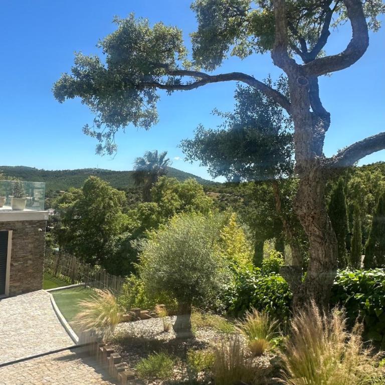 Villa Terramare min from the beaches & direct forest - Villa - 33