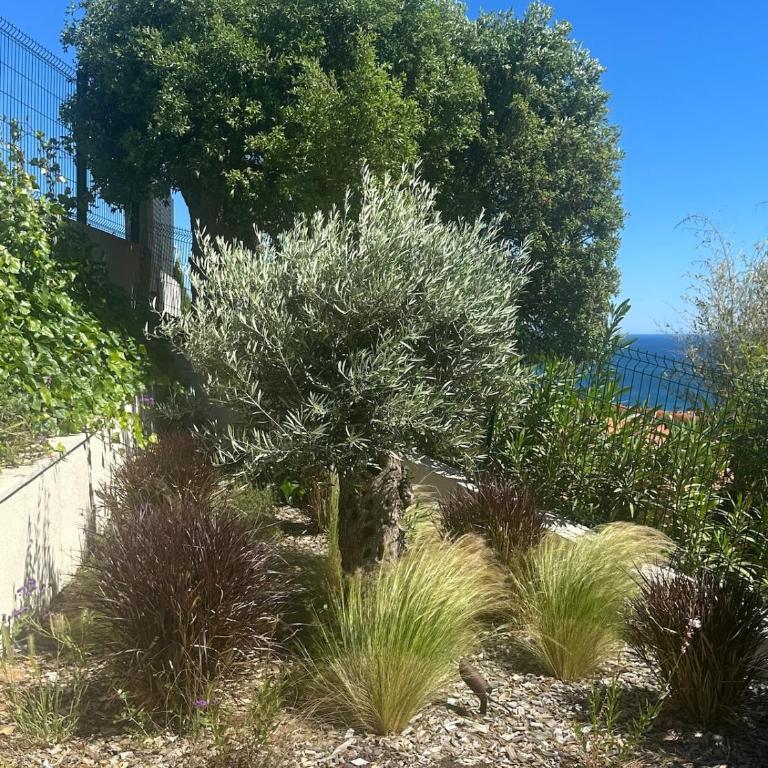 Villa Terramare min from the beaches & direct forest - Villa - 49