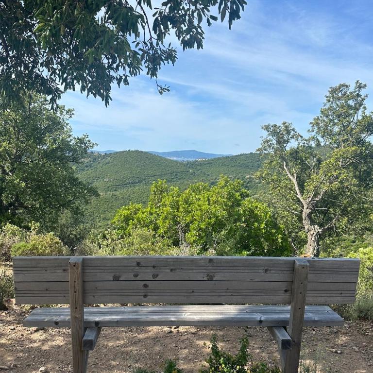 Villa Terramare min from the beaches & direct forest - Villa - 52