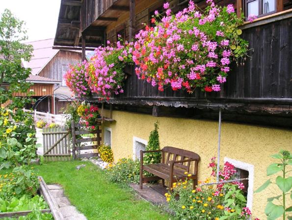 Bad Kleinkirchheim Bio Naturhof Ottingerhof - Angebot - Apartment mit Balkon (2 Erwachsene) - 15