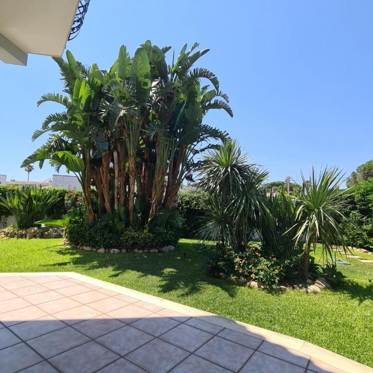 Villa Zagara - Villa Fronte Spiaggia - 2