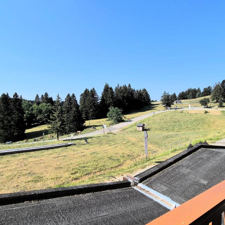 Cozy apartment "WAPITI" at the foot of the slopes - Appartamento con 2 Camere da Letto - 45