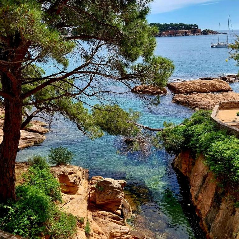 La Rambla Vidal, a 100 metres de la platja - One-Bedroom Apartment - 32