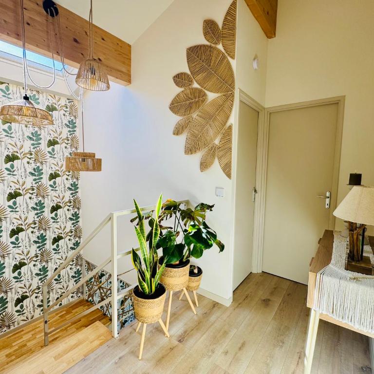 Villa Balaruc-Les-Bains - Villa 3 Chambres - 14