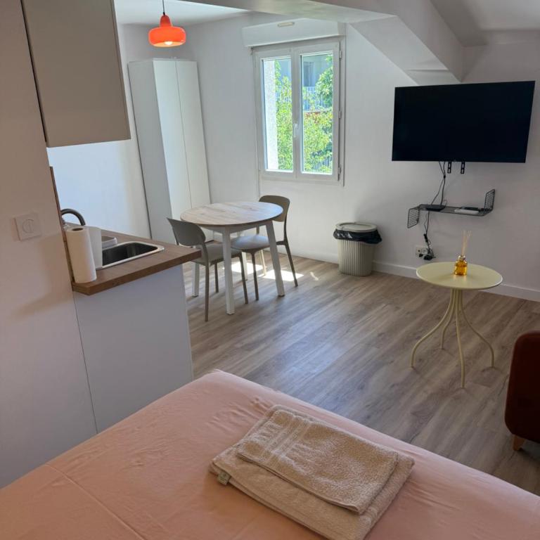Studio Ô Maé proche Village Outlet - Aéroport - St-Quentin-Fallavier - Appartement 1 Chambre - 3