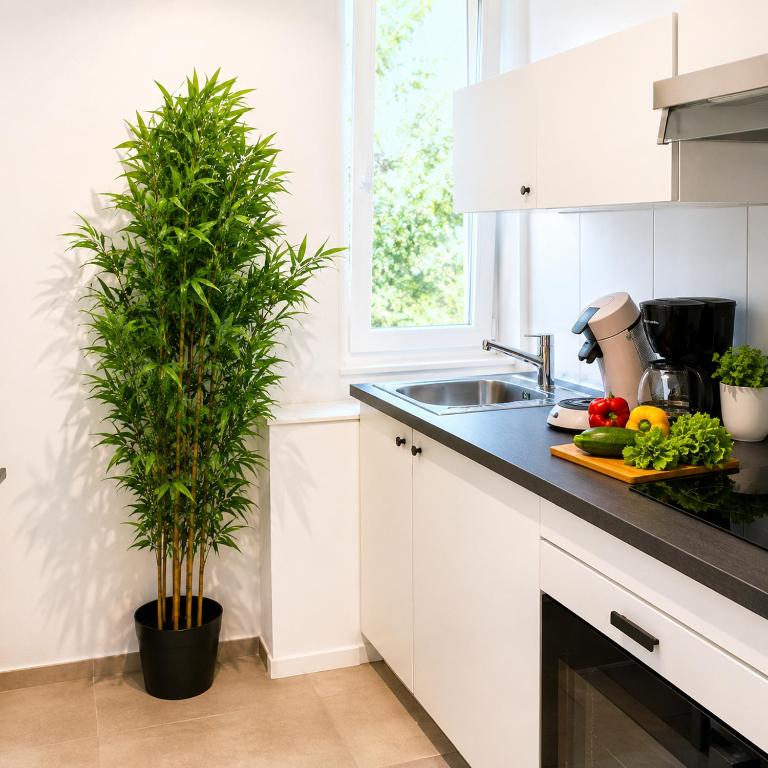 RM-1 - Joli 2 pièces tout équipé au 1er étage pour 1-3 pers - One-Bedroom Apartment - 31