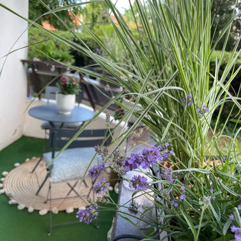 T2 cosy - Balcon en RDC - Jardin à 2 min - Appartamento con 1 Camera da Letto - 9