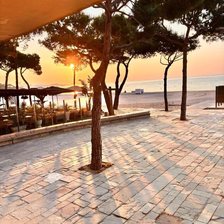Beachfront Bellavista - Apartment mit 1 Schlafzimmer - 13