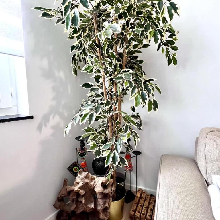 Lovely center for - 6 pers comfort - Appartamento - 12