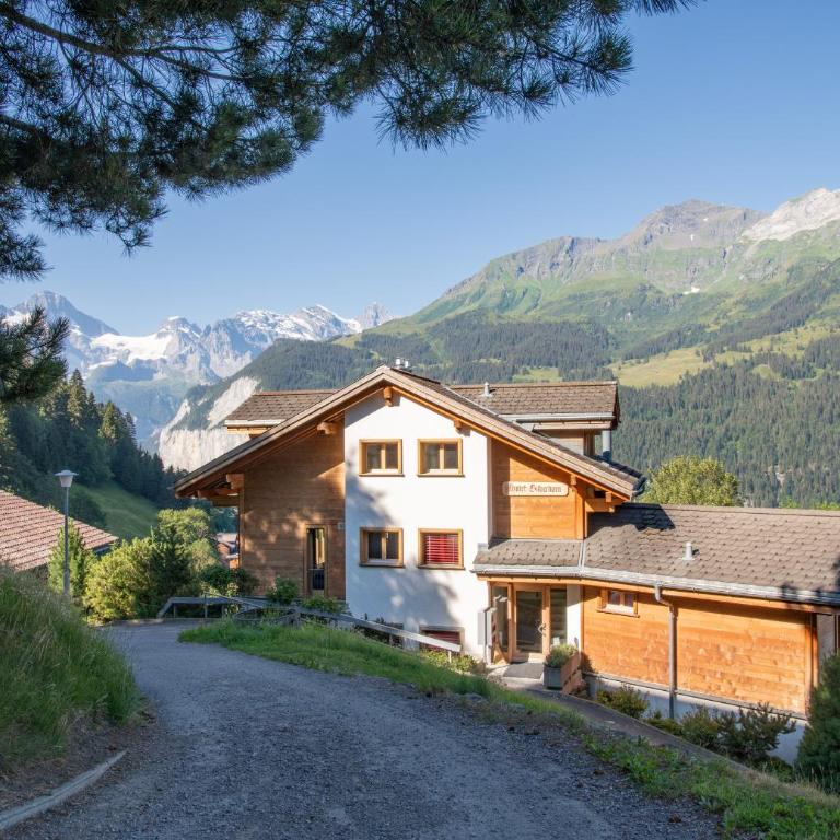 Chalet Silberhorn Penthouse - Penthouse-Apartment - 10