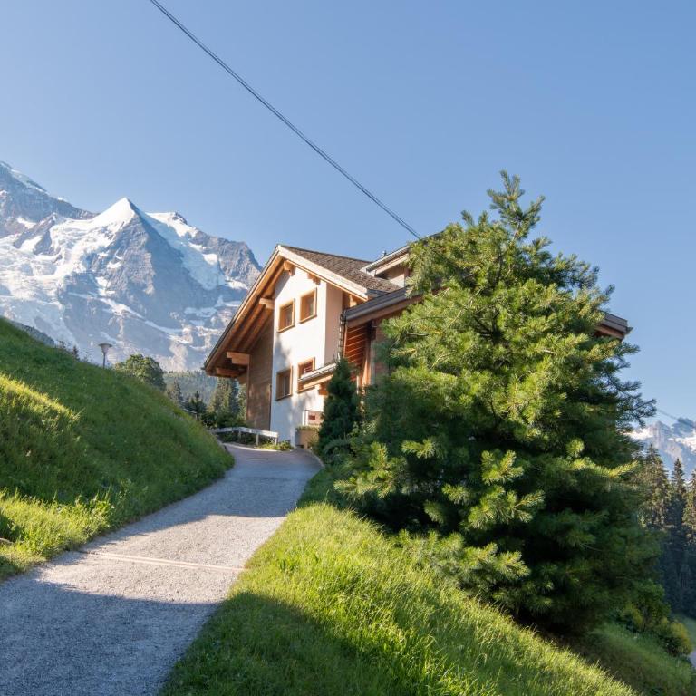 Chalet Silberhorn Penthouse - Penthouse-Apartment - 8