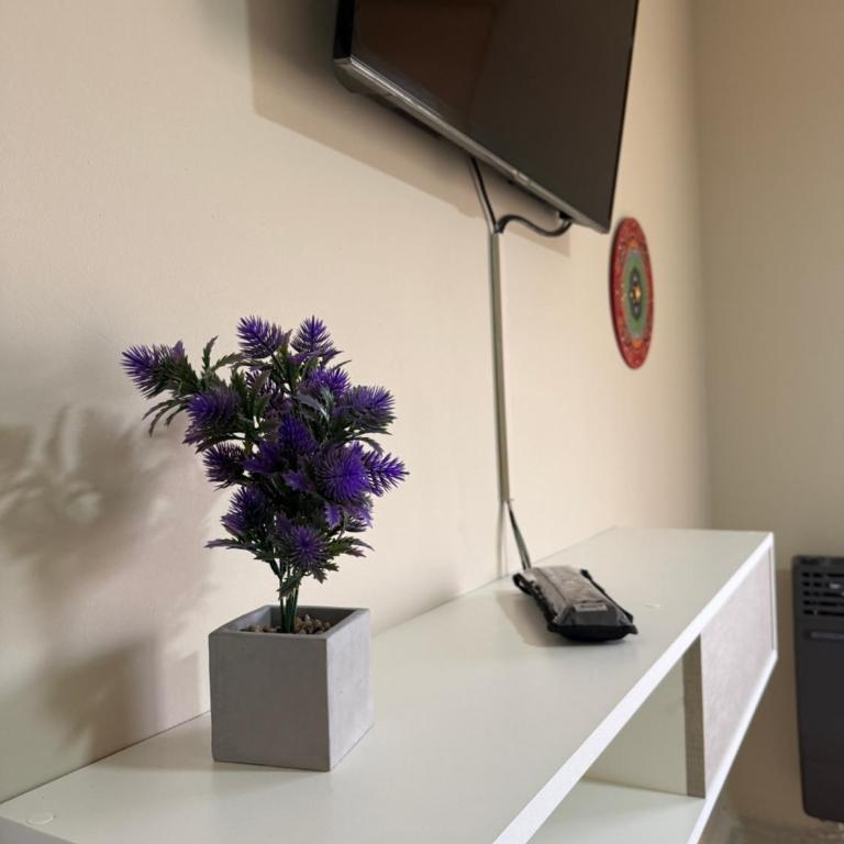 Dpto Viamonte con cochera y facturación - Apartamento de 1 dormitorio - 22