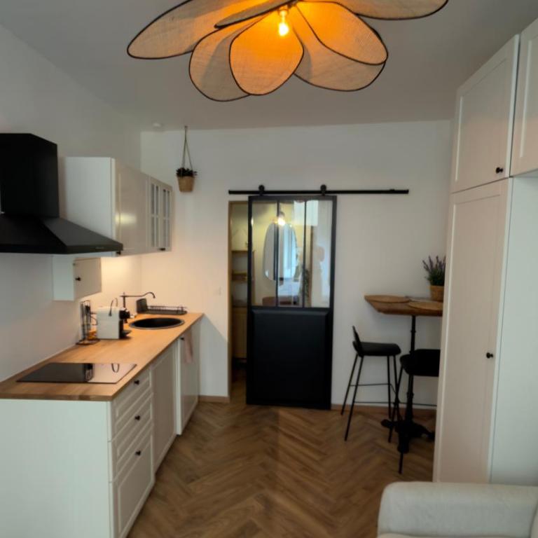 Le studio avignonnais - One-Bedroom Apartment - 10