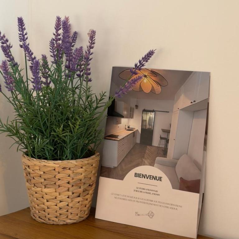 Le studio avignonnais - One-Bedroom Apartment - 4