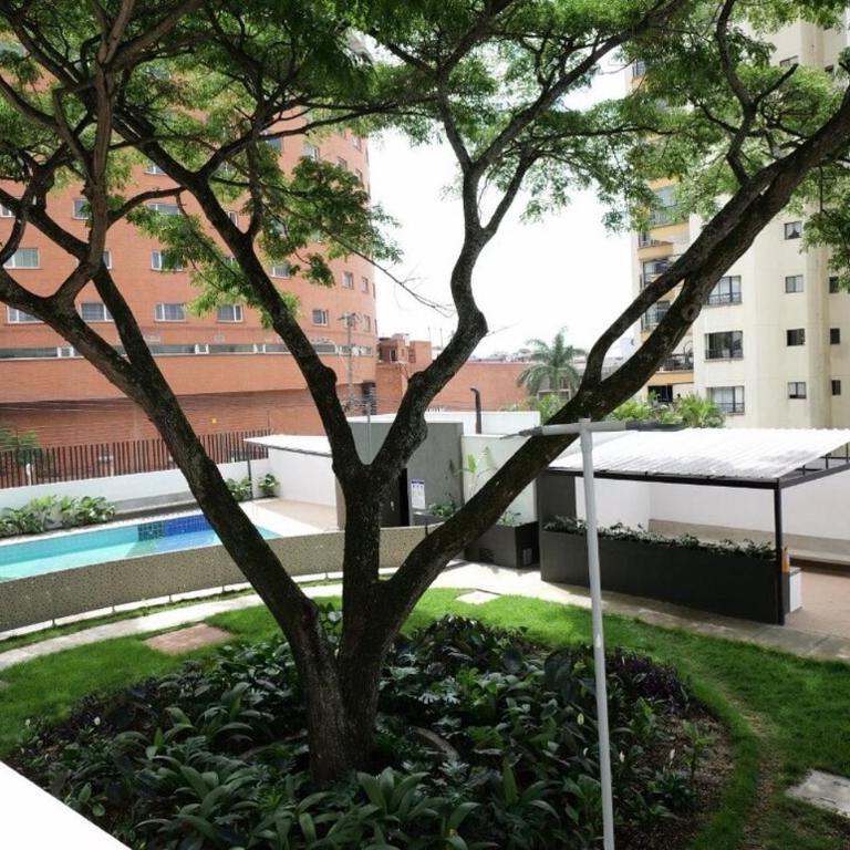il-Nido Chipichape Living Cali - Apartamento de 1 dormitorio - 20