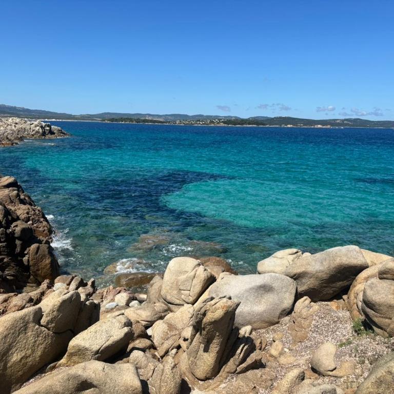Ampio e pregevole bilocale con giardino privato a 200 mt dalla spiaggia - Appartamento con 1 Camera da Letto - 4