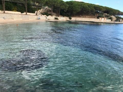 Ampio e pregevole bilocale con giardino privato a 200 mt dalla spiaggia - Appartamento con 1 Camera da Letto - 9