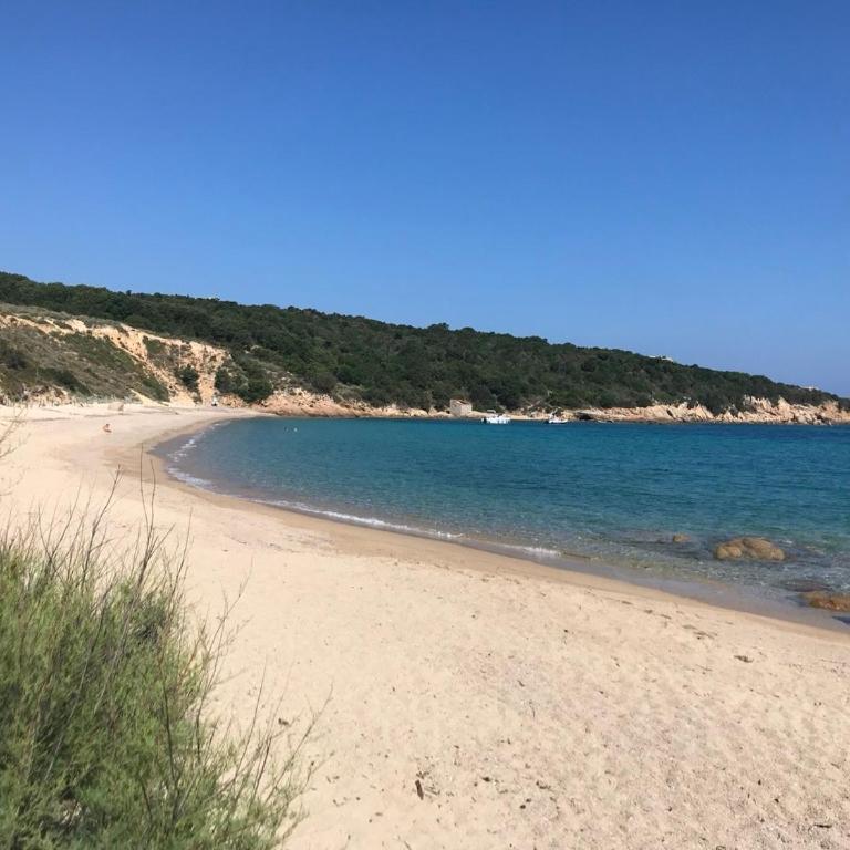 Ampio e pregevole bilocale con giardino privato a 200 mt dalla spiaggia - Appartamento con 1 Camera da Letto - 22
