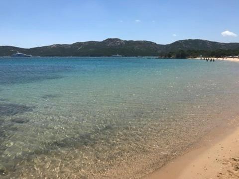Ampio e pregevole bilocale con giardino privato a 200 mt dalla spiaggia - Appartamento con 1 Camera da Letto - 26