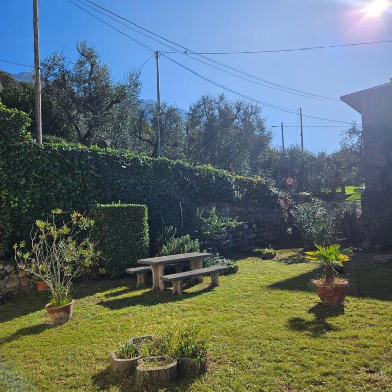 Panoramic Lake View & Garden Apartment - Appartamento con 1 Camera da Letto - 4