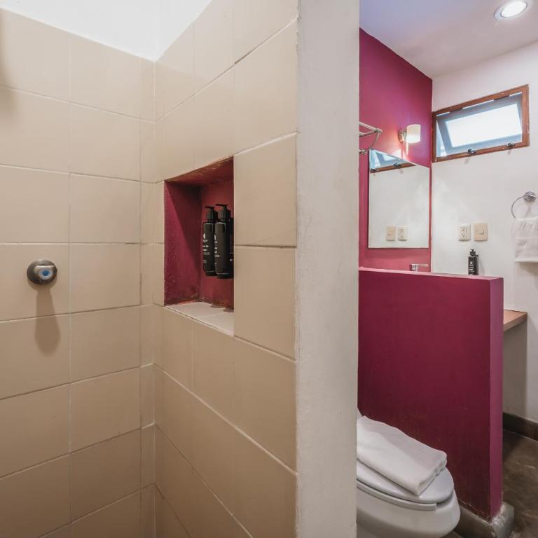 Casa Aura Hotel, Mérida - Suite Junior con piscina privada - 13