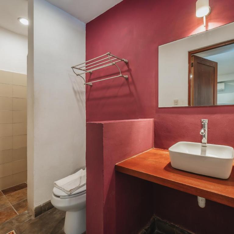 Casa Aura Hotel, Mérida - Suite Junior con piscina privada - 10