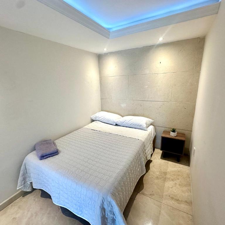 Casa de Huéspedes con Terrazas en Tecamachalco - Habitación Doble - 11