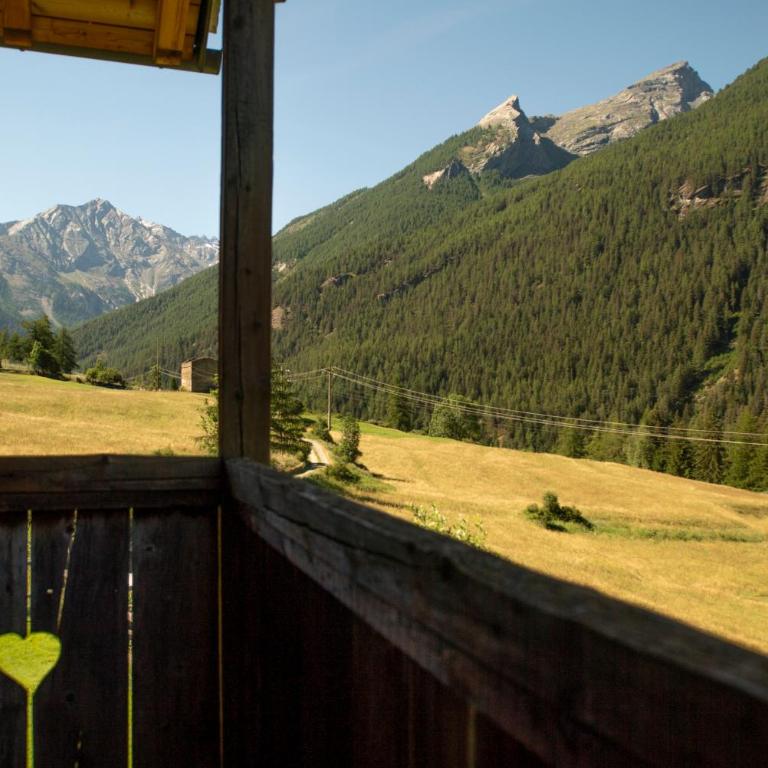 Agriturismo Plan de la Tour B&B - Camera Superior Matrimoniale/Doppia con Letti Singoli con Vista Montagna - 8