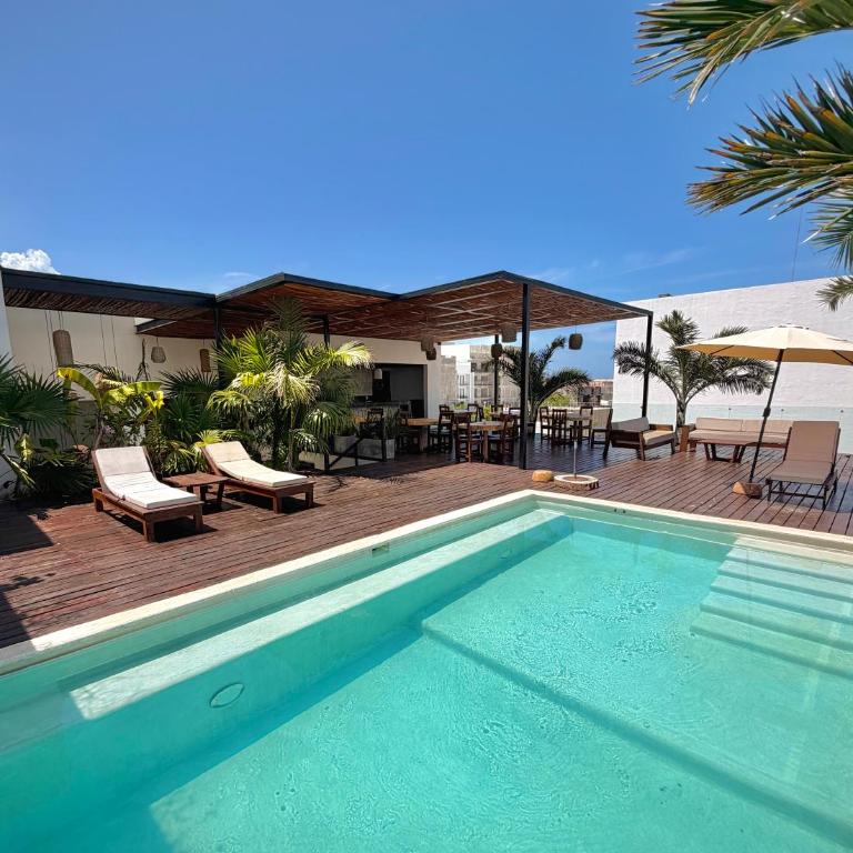 Ah Xok suites 5a Avenida - Suite Doble Estándar - 1