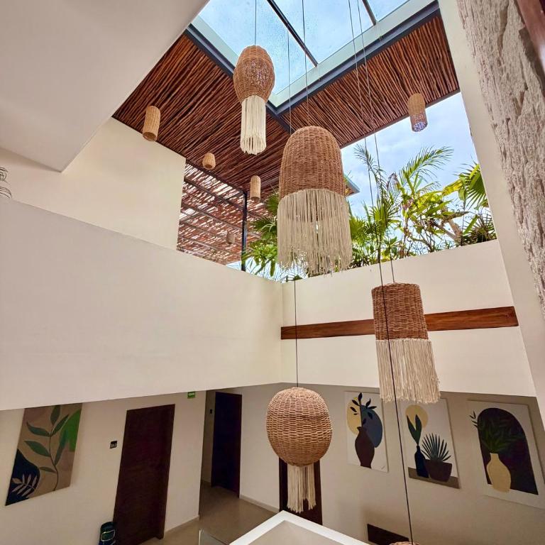 Ah Xok suites 5a Avenida - Suite Doble Estándar - 24