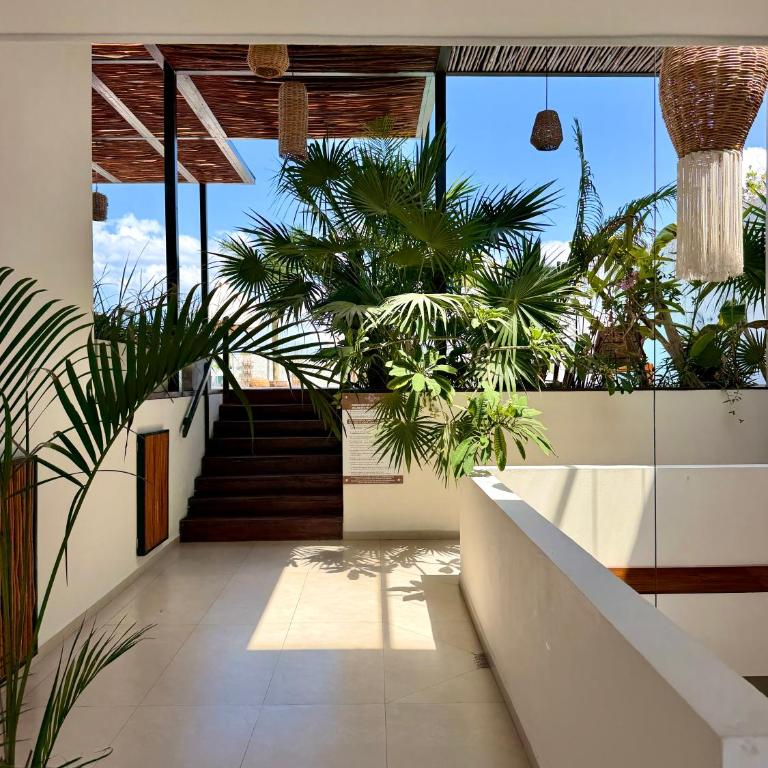 Ah Xok suites 5a Avenida - Suite Doble Estándar - 26