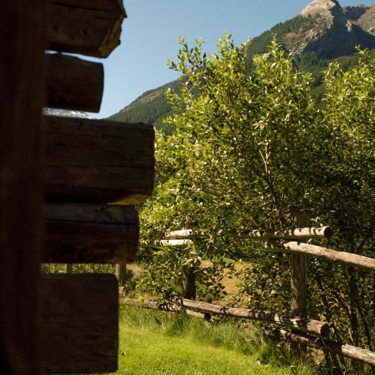 Agriturismo Plan de la Tour B&B - Camera Matrimoniale/Doppia con Letti Singoli con Vista Montagna - 5