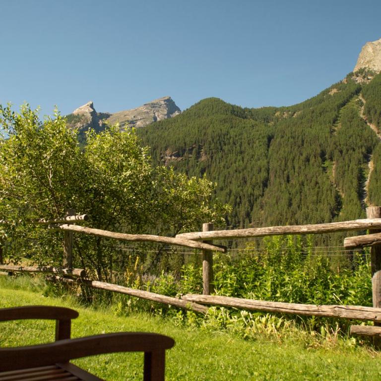 Agriturismo Plan de la Tour B&B - Camera Matrimoniale/Doppia con Letti Singoli con Vista Montagna - 1