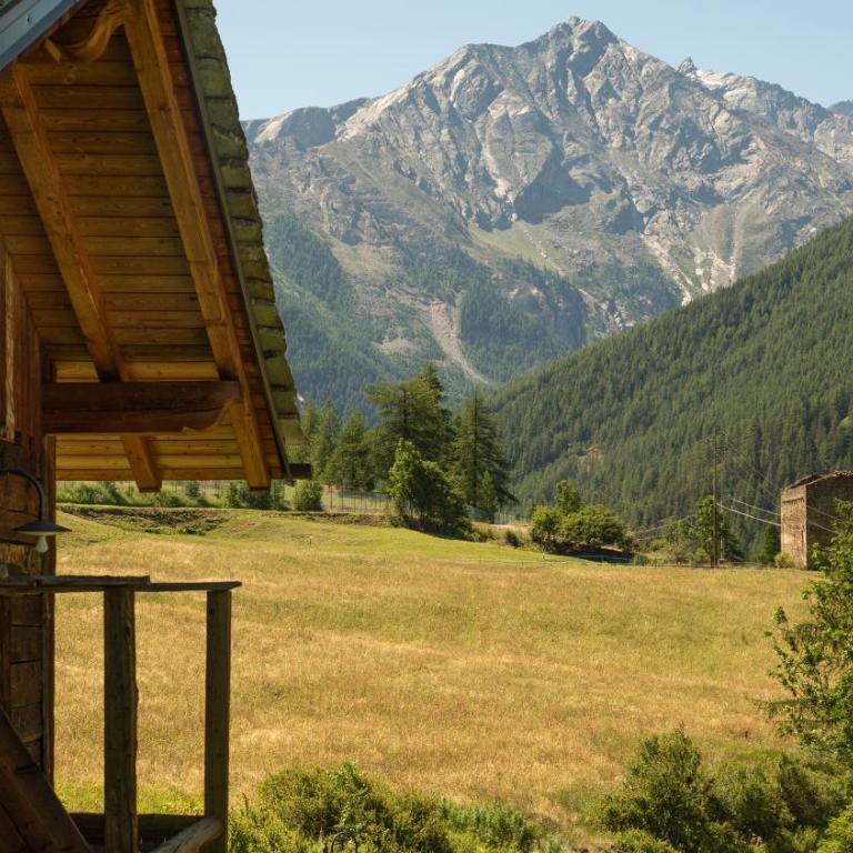 Agriturismo Plan de la Tour B&B - Camera Superior Matrimoniale/Doppia con Letti Singoli con Vista Montagna - 7