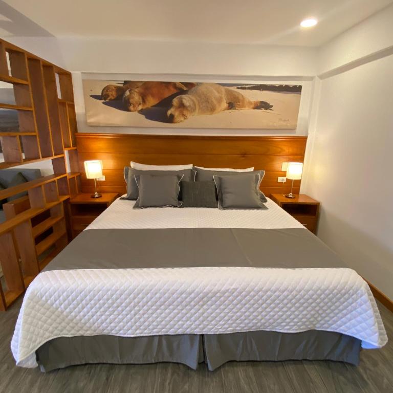 Torre Mar Galapagos Boutique Suites - Estudio - 1
