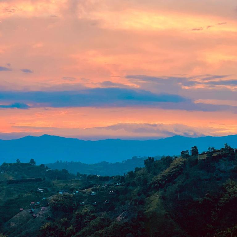 GLAMPING LA NONITA - Cabaña Luxury - JACUZZI - STARLINK - CERCA A MANIZALES - Deluxe Bungalow - 17