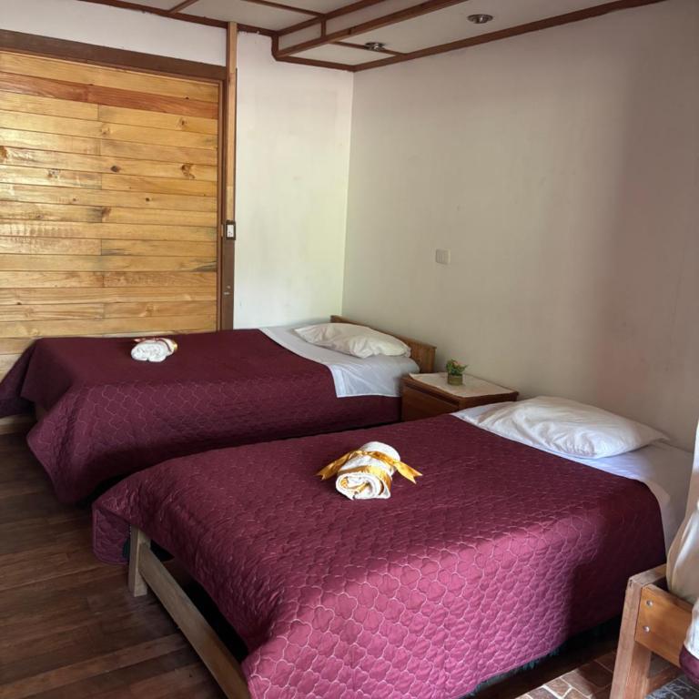 La Ramada de Mama Elena - Classic Quadruple Room - 4