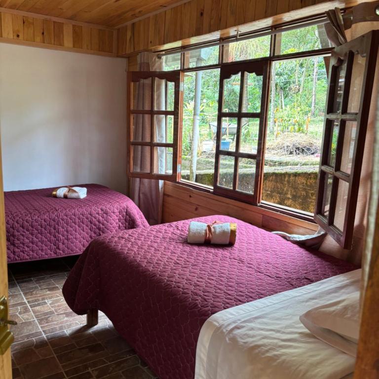 La Ramada de Mama Elena - Classic Quadruple Room - 5