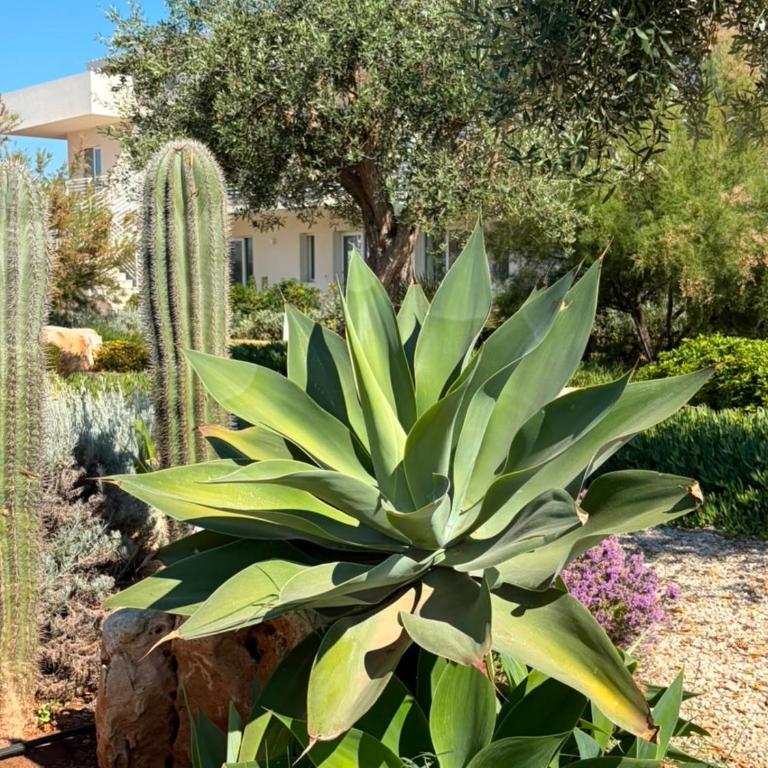 Casa vacanze Marzamare - Borgo 84 - One-Bedroom Apartment - 41