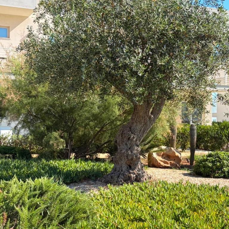 Casa vacanze Marzamare - Borgo 84 - One-Bedroom Apartment - 42