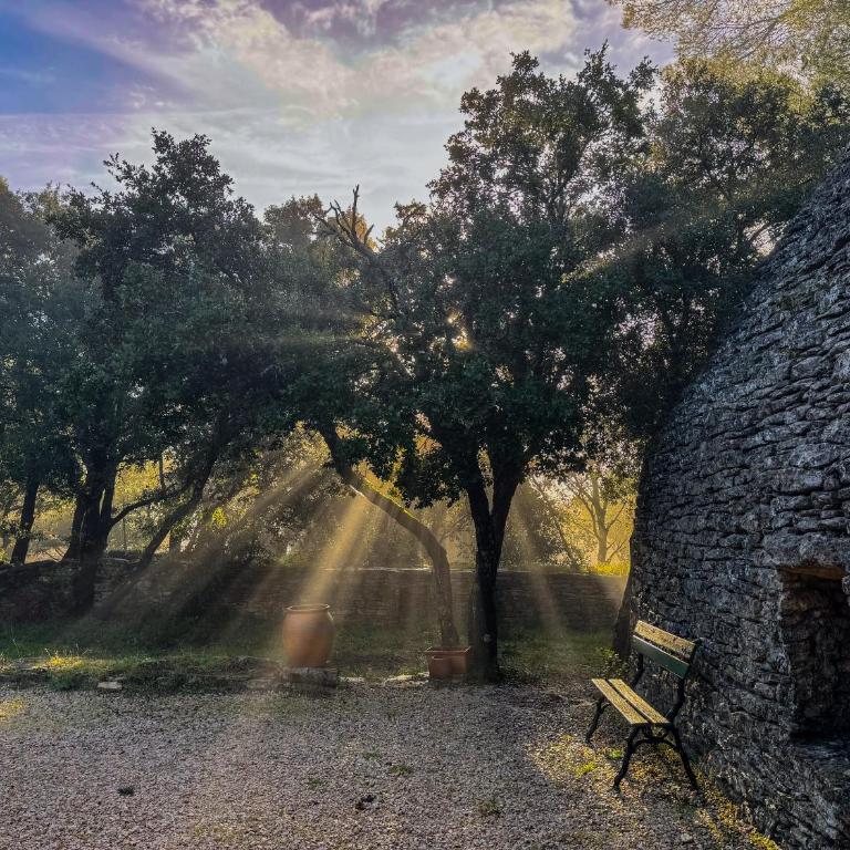 Les Cinq Bories - Demeure d'exception à 10 minutes à pied du village de Gordes - Villa Deluxe - 38