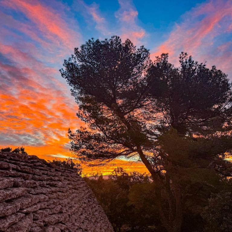 Les Cinq Bories - Demeure d'exception à 10 minutes à pied du village de Gordes - Villa Deluxe - 37