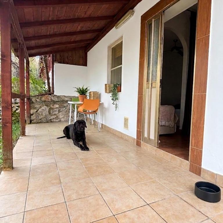 De Sio Country Village - Appartamento con 1 Camera da Letto e con Giardino - 2