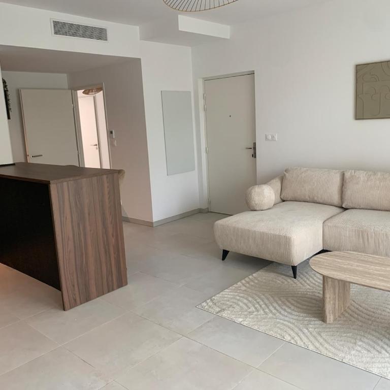Charmant T3 neuf à 5 minutes du centre ville - Apartamento de 2 dormitorios - 4