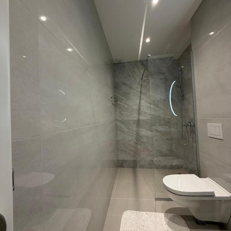Vi Lux Apartments - Deluks Apartman sa 1 Spavaćom Sobom - 4